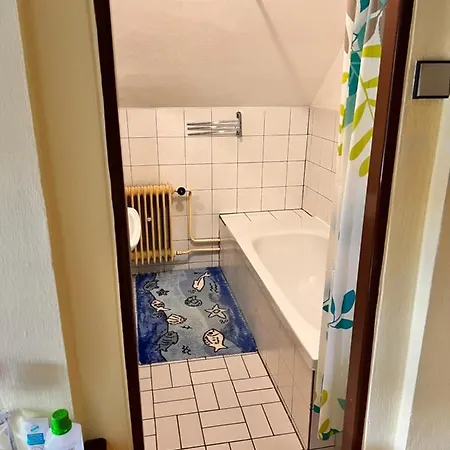 Apartament Na Samote U Lesa *